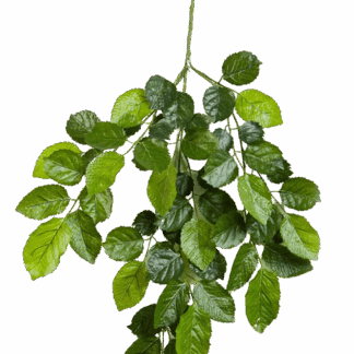 Künstlicher Buchen-Zweig - Gerhard | 60 cm*