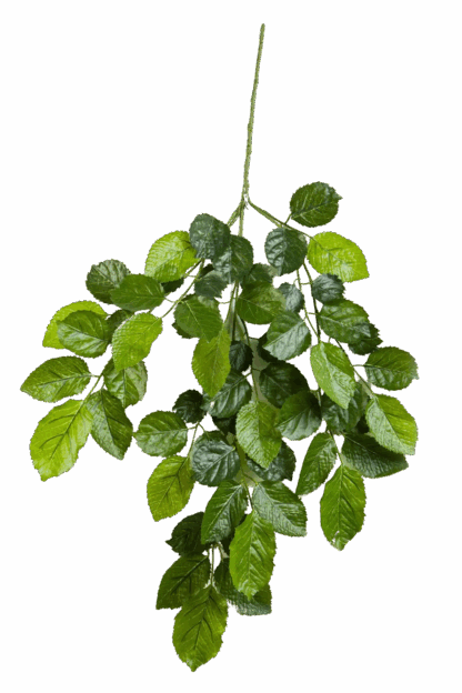 Künstlicher Buchen-Zweig - Gerhard | 60 cm*