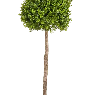Künstlicher Buchsbaum - Rayan | 105 cm*
