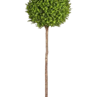 Künstlicher Buchsbaum - Rayan | 170 cm*