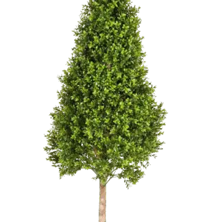 Künstlicher Buchsbaum - Rene | 105 cm*