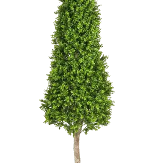 Künstlicher Buchsbaum - Rene | 170 cm*