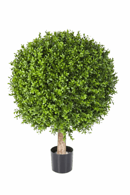 Künstlicher Buchsbaum - Rico | 75 cm*