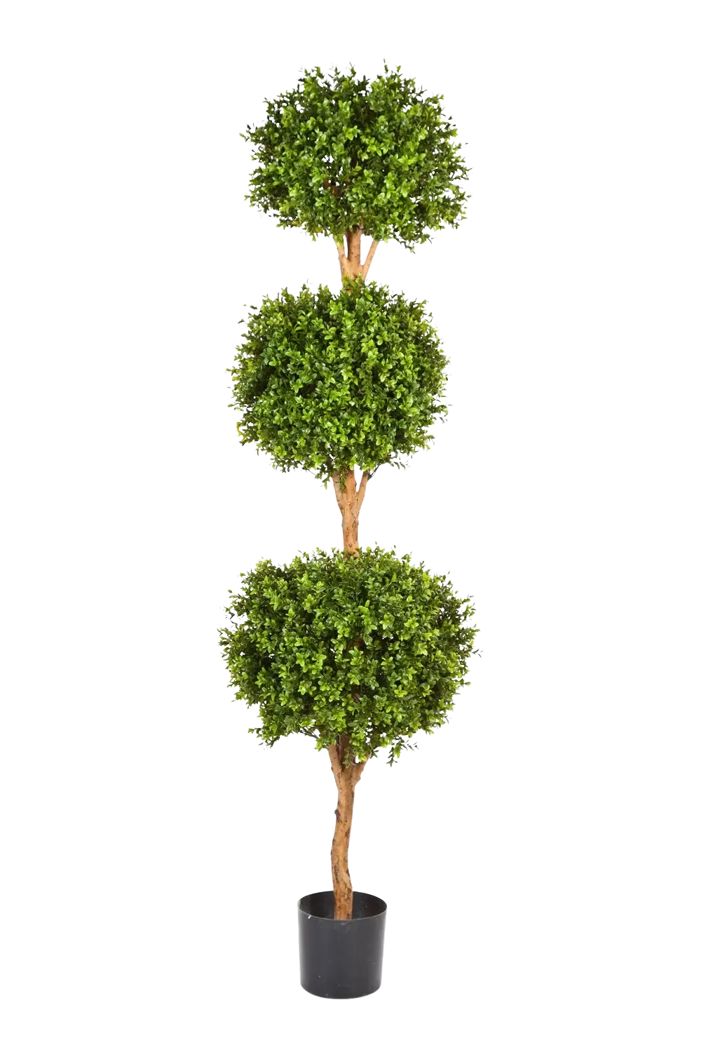 Künstlicher Buchsbaum - Ruben | 190 cm*