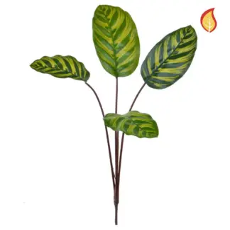 Künstlicher Calatheazweig - Reiner | 58 cm*