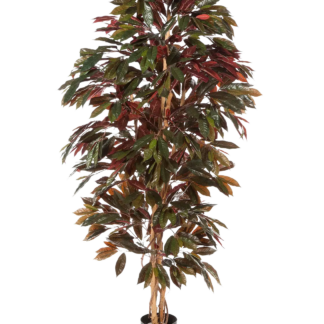 Künstlicher Capensia-Baum - Oliver | 150 cm*