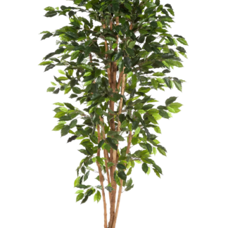 Künstlicher Chinesischer Ficus - Ismail | 120 cm*