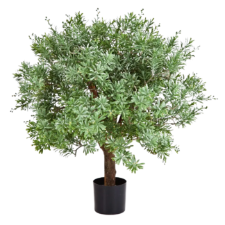 Künstlicher Crossostephium Baum - Peer | 60 cm*