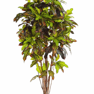 Künstlicher Croton - Oriana | 150 cm*
