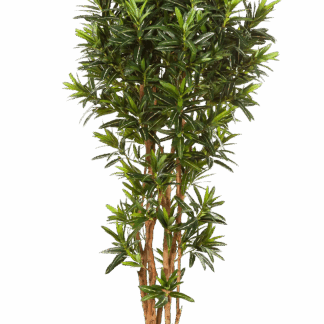 Künstlicher Croton Reflexa - Ostara | 180 cm*