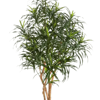 Künstlicher Drachenbaum - Hauke | 120 cm*