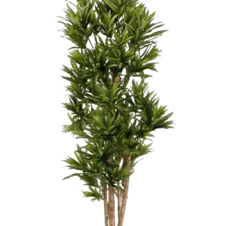 Künstlicher Drachenbaum Reflexa - Neo | 150 cm*