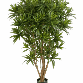 Künstlicher Drachenbaum Reflexa - Ophelia | 145 cm*