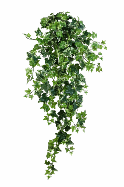 Künstlicher Efeu - Amalia | 90 cm*