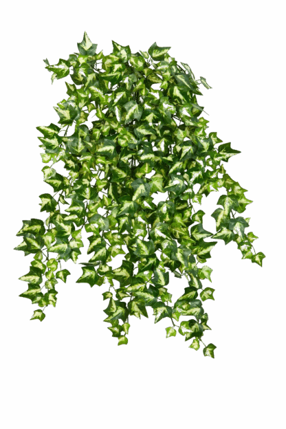 Künstlicher Efeu - Emilian*