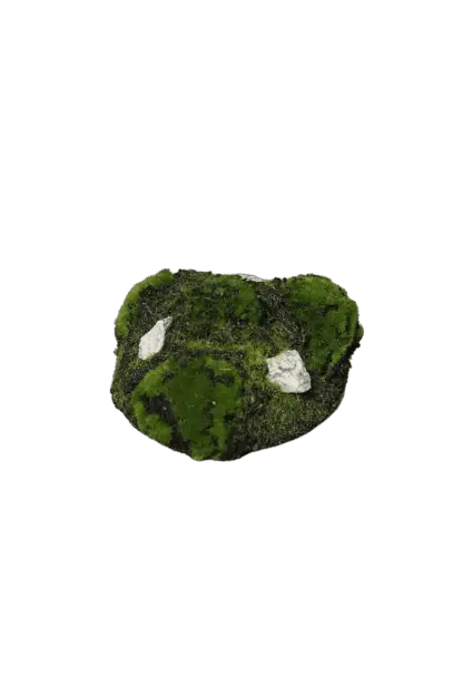 Künstlicher Erd-Moos-Rohling - Malte | 9x9 cm*