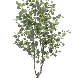 Künstlicher Eucalyptus Baum - Christopher | 180 cm*