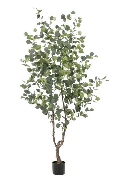 Künstlicher Eucalyptus Baum - Christopher | 180 cm*