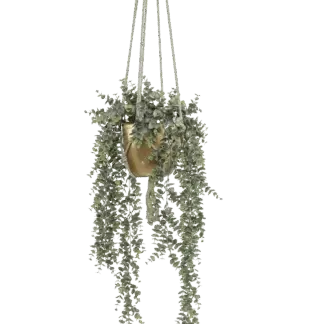 Künstlicher Eucalyptus - Karolina | 75 cm*
