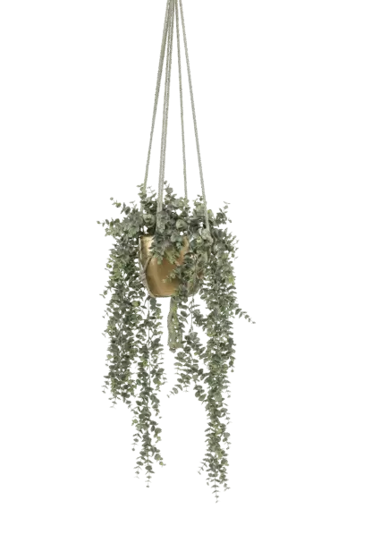 Künstlicher Eucalyptus - Karolina | 75 cm*