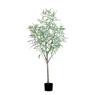 Künstlicher Eukalyptus - Manfred | 165 cm*