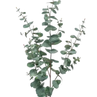 Künstlicher Eukalyptus Zweig Coa*