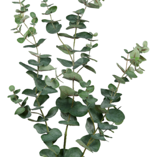 Künstlicher Eukalyptus Zweig - Cobra | 113 cm*
