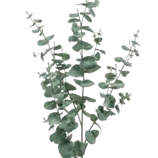 Künstlicher Eukalyptus Zweig - Cobra | 65cm*
