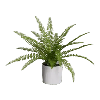Künstlicher Farn - Isa | 35 cm*