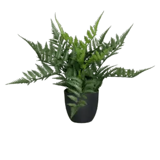Künstlicher Farn - Raya | 30 cm*