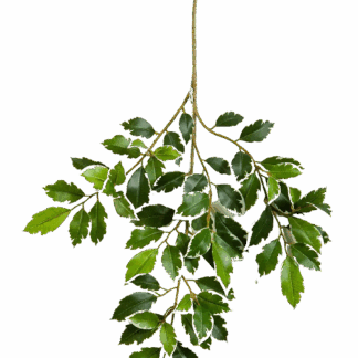 Künstlicher Feigen-Zweig - Felix | 48 cm*