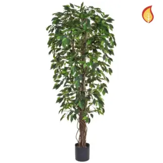 Künstlicher Ficus - Annika | 180 cm*
