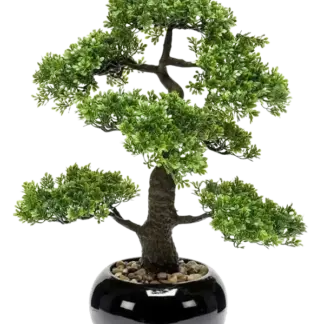 Künstlicher Ficus Bonsai - Sota | 47 cm*