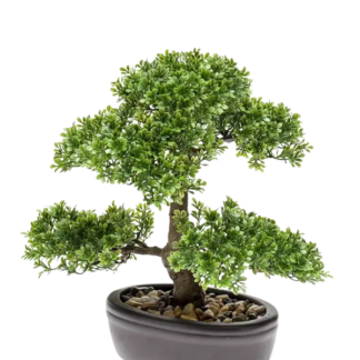 Künstlicher Ficus Bonsai - Yui | 32 cm*
