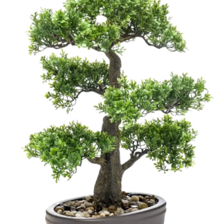 Künstlicher Ficus Bonsai - Yuma | 43 cm*