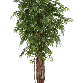 Künstlicher Ficus - Jayden | 210 cm*