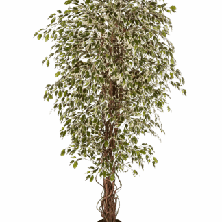 Künstlicher Ficus- Jessica | 180 cm*