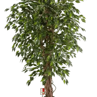 Künstlicher Ficus - Juna | 210 cm*