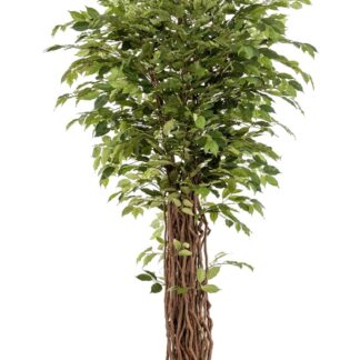 Künstlicher Ficus - Lissi | 205 cm*