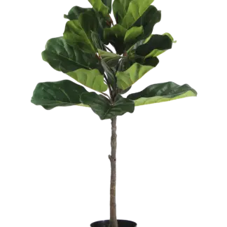 Künstlicher Ficus Lyrata - Niran | 90 cm*