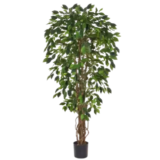Künstlicher Ficus - Norbert | 150 cm*