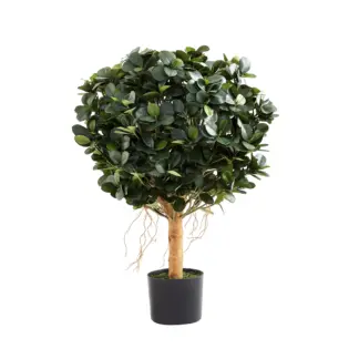 Künstlicher Ficus Panda – Tiberia | 70 cm*