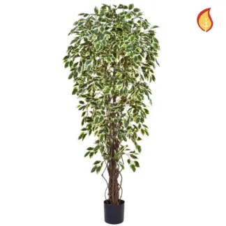 Künstlicher Ficus - Rosemarie | 180 cm*