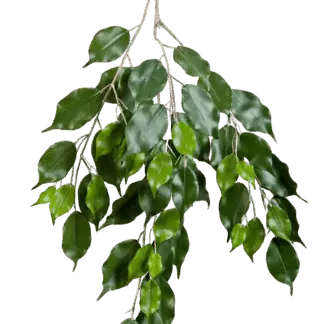 Künstlicher Ficus-Zweig - Georgia*