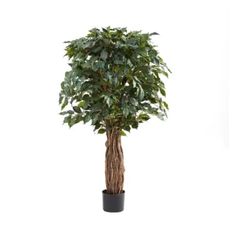 Künstlicher Ficus – Amadior | 150 cm*