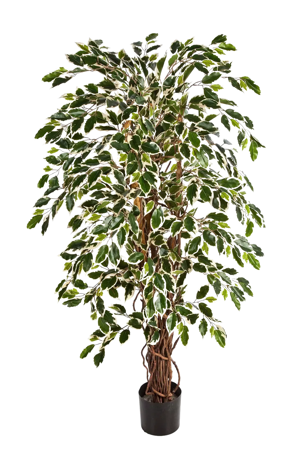 Künstlicher Ficus – Ravian | 120 cm*