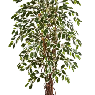 Künstlicher Ficus – Ravian | 180 cm*