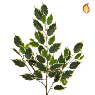 Künstlicher Ficuszweig - Wolfgang | 75 cm*