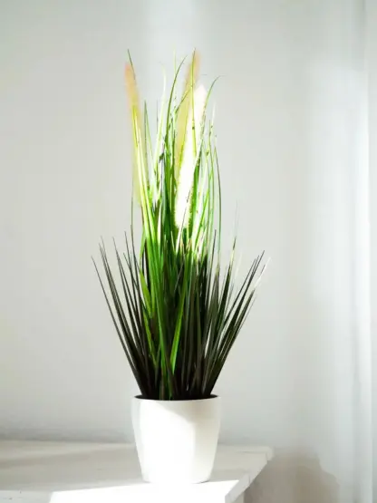Künstlicher Fuchsschwanz - Hennes | 53 cm*