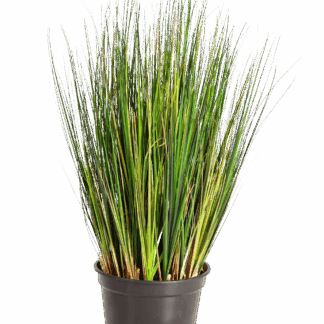 Künstlicher Fuchsschwanz - Pax | 60 cm*